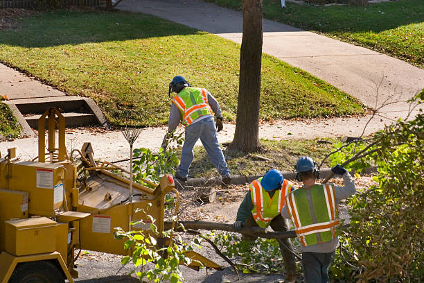 Best Lawn Irrigation Installation and Maintenance  in Ankeny, IA